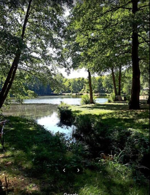 Sonnige Etagen-Wohnung, Alleinige Nutzung, Wasserbett Нойнкирхен Экстерьер фото